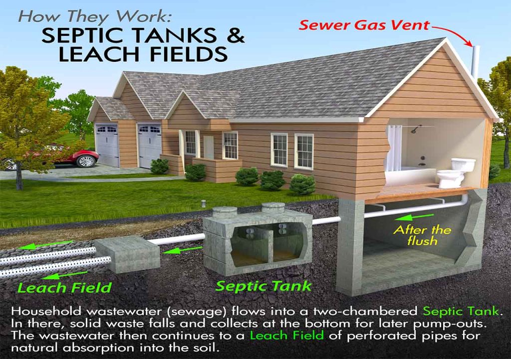 Infographic on how septic tanks work with a view underneath a house. 