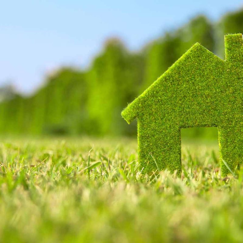 A green house made of grass held by a hand on a lawn.